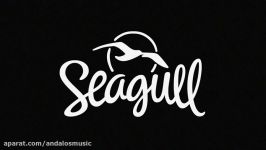 گیتار آکوستیک Seagull مدل Entourage Autumn Burst