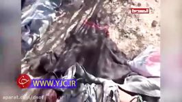 فیلمی ازجنایات رژیم سعودی در بمباران غیرنظامیان یمن +18