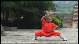 مستند Shaolin Temple 1982 معبد شائولین