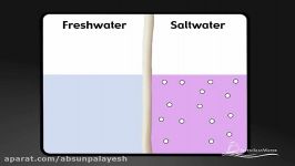 How Seawater Desalination Works