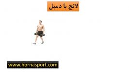 آموزش لانج دمبل