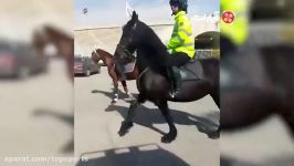 حضور جالب پلیس اسب سوار اطراف ورزشگاه آزادی در دربی 86