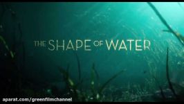 دانلود فیلم فانتزی شکل آب The Shape of Water 2017