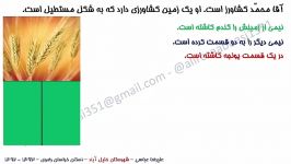 آموزش مفهوم کسر در پایه سوم ابتدایی