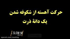 حرکت آهسته باز شدن پاپ کرن