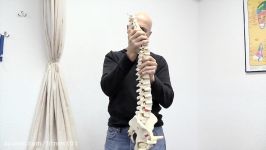 Fix Ugly Thoracic Kyphosis  Dr Alan Mandell DC