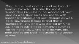 List of Top 10 Best Bicycle Brands in the World