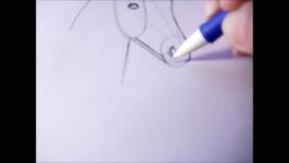 تکنیک آسان طراحی سر اسبHow to draw a simple horsehead