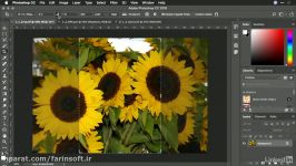 آموزش نکات ، ترفندها تکنیک های حرفه ای در Photoshop C