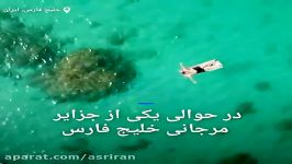 تصاویر هوایی جزیره های بکر مرجانی خلیج فارس