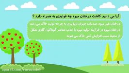 درخت میوه بکاریم