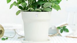 گلدان هوشمند شیائومی Xiaomi Mi Smart Flower Pot