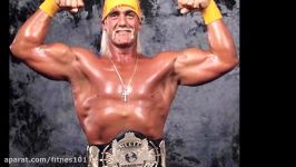 Could Hulk Hogan have been a Bodybuilder