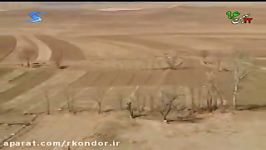 یه جای خوب در روستای کندر شهرستان تاکستان استان قزوین