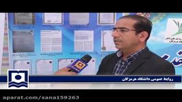 تولید چوب درختان خرما روشی مناسب برای ایجاد اشتغال