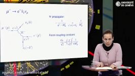 Particle Physics – Muon and tau lepton decay