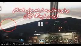 برخورد عقاب به شیشه جلوی هواپیما در هنگام فرود