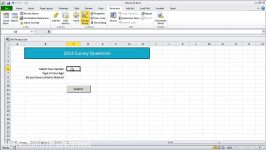 Survey in Microsoft Excel 2010  Saves Answers to other Worksheet