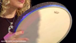 ساز کوبه ای Thinline 14  Frame drum برند Remo