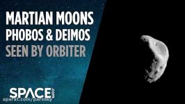 مدارگرد مارس ادیسی قمرهای فوبوس دیموس