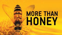 مستند فراتر عسل دوبله  More Than Honey