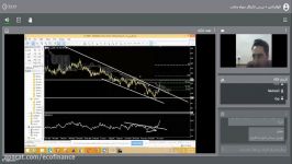 بخشی وبینار تحلیلی اکوفاینانس تحلیلگر مهدی نجاران