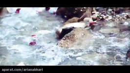 Southern Iran Bandari  موزیک ویدیو جدید شهرام بهرامی بنام مریم  بندری