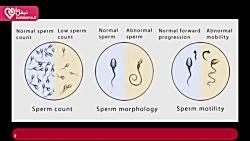 راه های طبیعی برای افزایش اسپرم نازایی