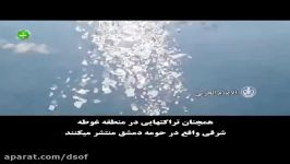 آنچه رسانه ها نمی گویند