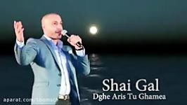 Shai Gal  Dghe Aris Tu Ghamea Mi Gna შაი გალ დღე არის თუ ღამეა  Chemi Kartuli Versia