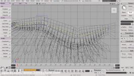 Rigging Wings in Softimage Tutorial  Building the wing bones