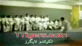 تکواندو تایگرز 3