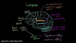 Language and the brain Aphasia and split brain patients  MCAT  Khan Academy
