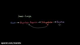 Theories of Emotion  Processing the Environment  MCAT  Khan Academy