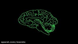 Reward pathway in the brain  Processing the Environment  MCAT  Khan Academy