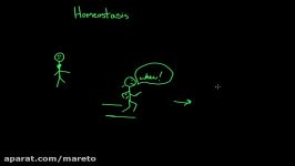 Drug dependence and homeostasis  Processing the Environment  MCAT  Khan Academy