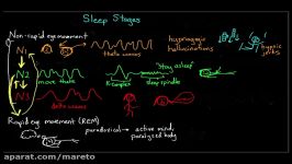 Sleep stages and circadian rhythms  Processing the Environment  MCAT  Khan Academy