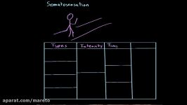 Somatosensation  Processing the Environment  MCAT  Khan Academy