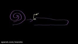 Auditory structure  part 2  Processing the Environment  MCAT  Khan Academy