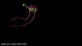 Webers law and thresholds  Processing the Environment  MCAT  Khan Academy