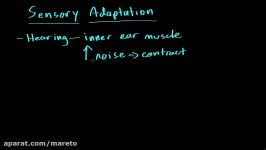 Sensory adaptation  Processing the Environment  MCAT  Khan Academy