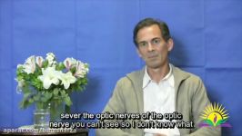 Does Seeing Take Place in the Brain  Rupert Spira