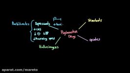 Overview of psychoactive drugs  Processing the Environment  MCAT  Khan Academy