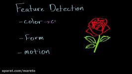 Feature detection and parallel processing  Processing the Environment  MCAT  Khan Academy