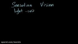 Visual sensory information  Processing the Environment  MCAT  Khan Academy