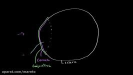 The structure of the eye  Processing the Environment  MCAT  Khan Academy