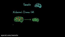 Alzheimers disease and Korsakoffs syndrome Processing