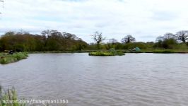 Pole fishing for big Carp margins