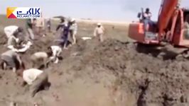 کشف پیکر مطهر ۶۵ شهید مدفون شده در باتلاق شلحه عراق