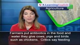 US Officials Want Farmers to Use Less Antibiotics on...